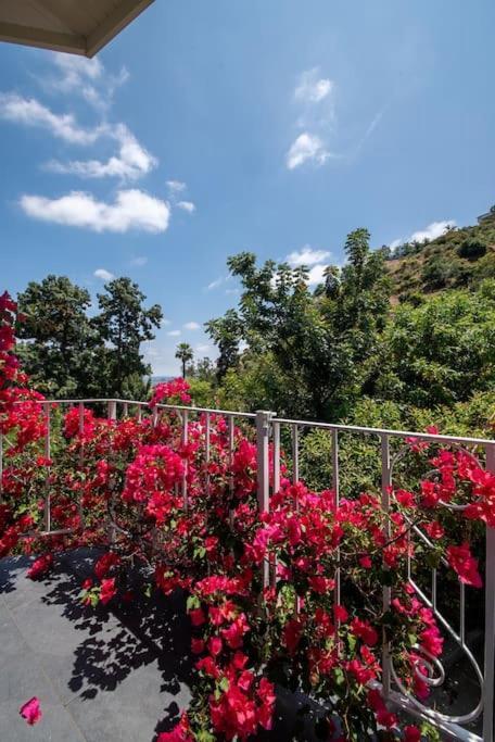 Stunning Hollywood Midcentury Modern-Views-Best Location! Los Angeles Ngoại thất bức ảnh